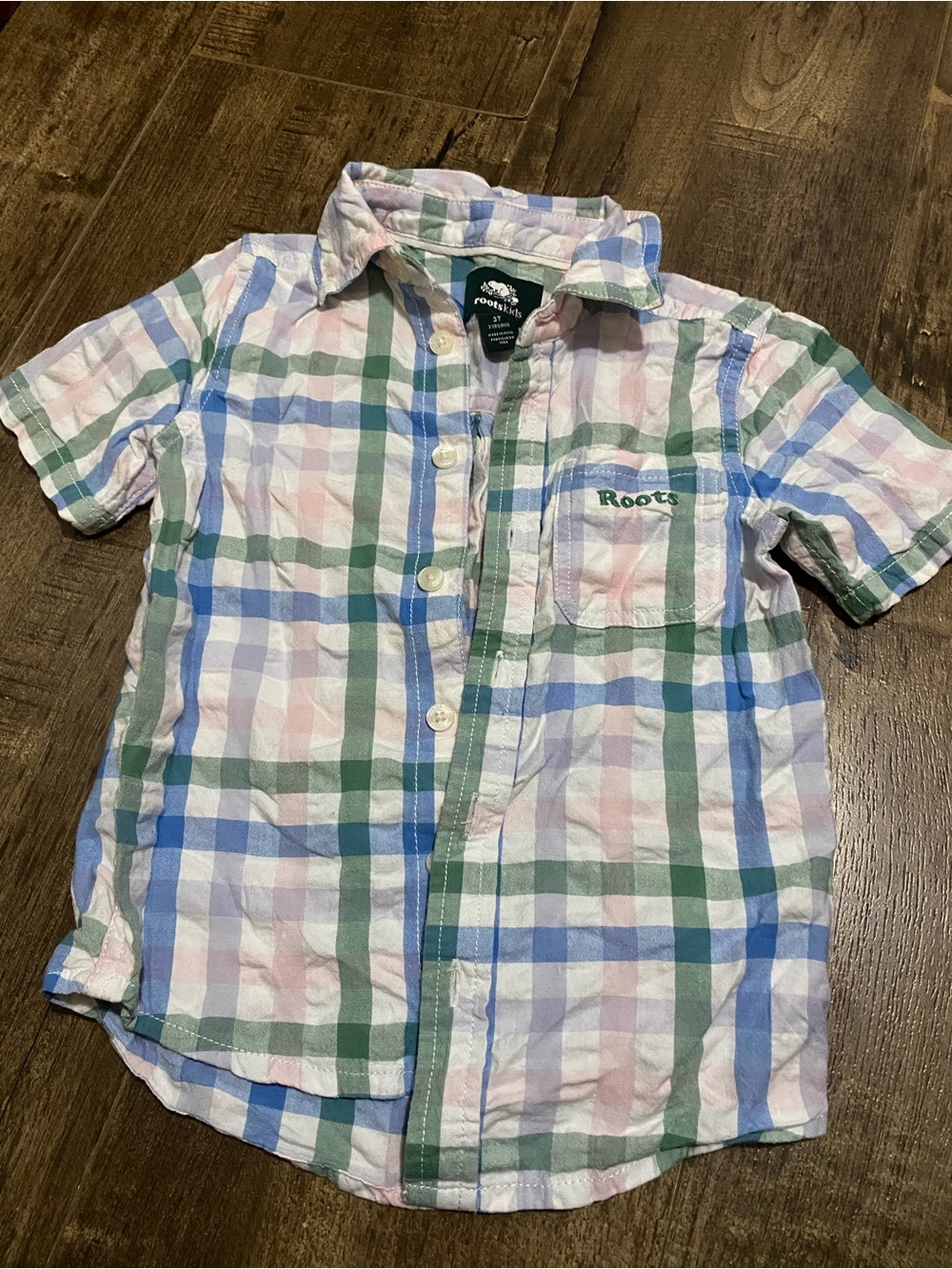 Roots Boys Button-Down Plaid Shirt - Green Blue Pink